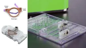Glass Design Cutting